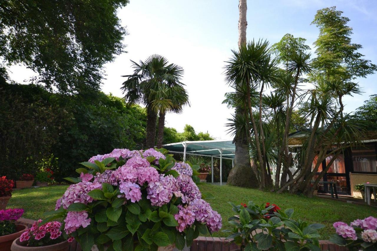 Bed and Breakfast Il Piccolo Nido Borgo Montenero Exterior foto