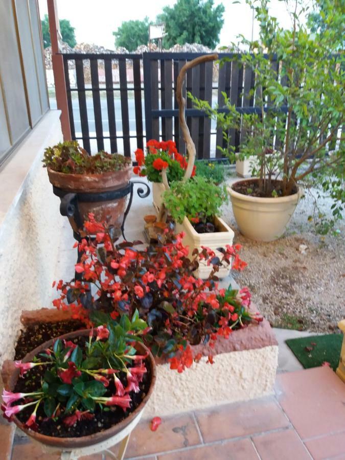 Bed and Breakfast Il Piccolo Nido Borgo Montenero Exterior foto